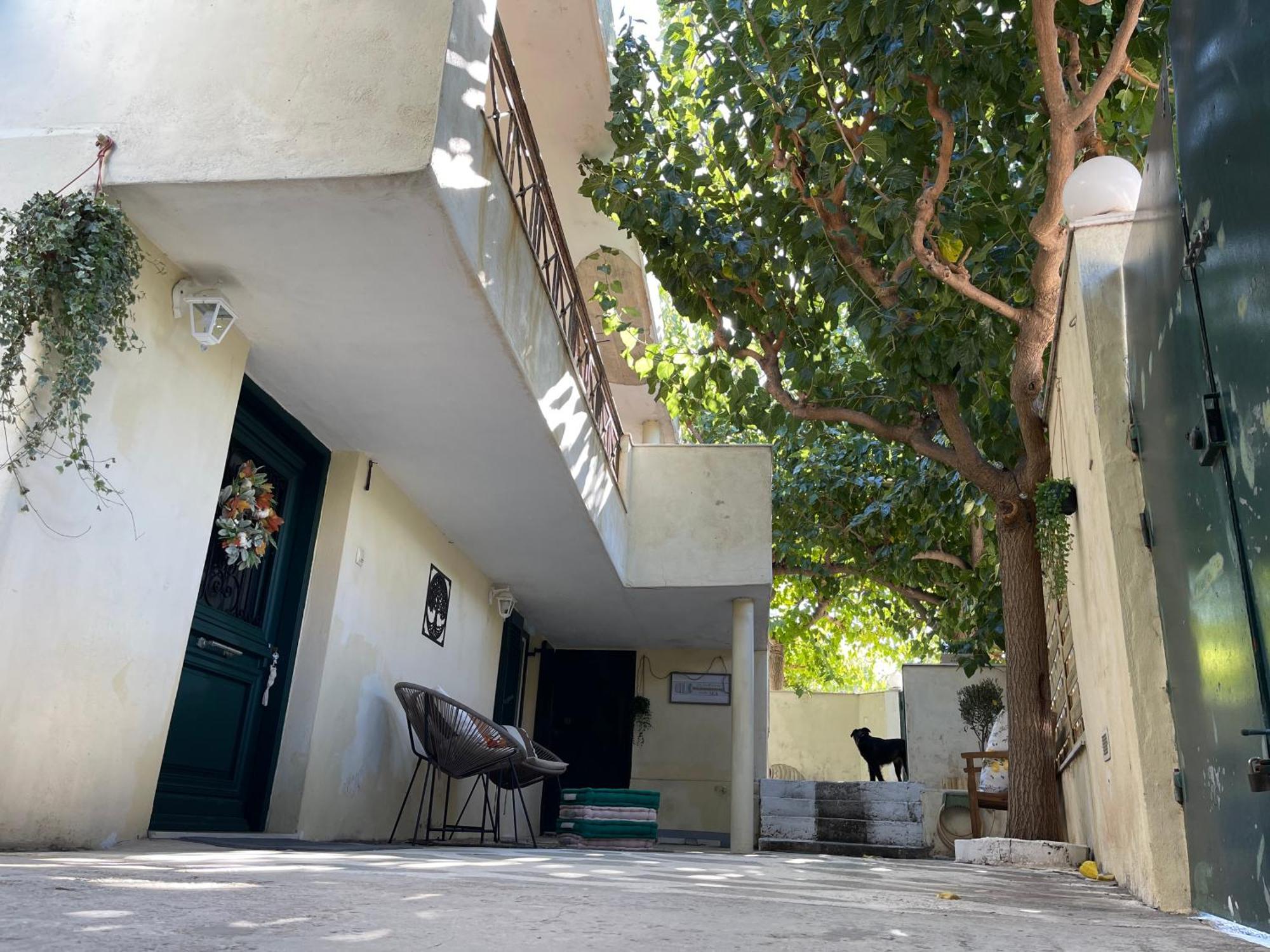 Airport Cottage House 아르테미다 외부 사진